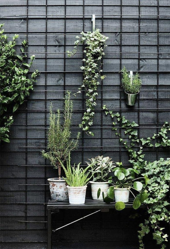 Aménagement d'un mur végétal avec grille métal sur une terrasse