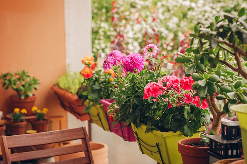 Sécurité sur le balcon, les pots doivent être dirigés vers l'intérieur