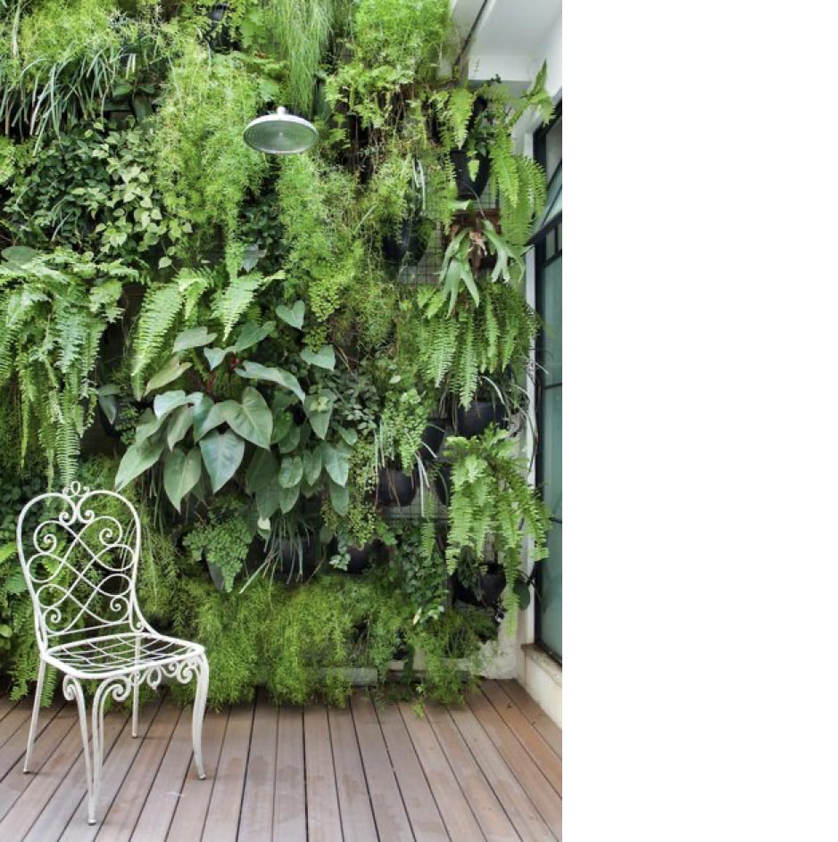 Un magnifique mur végétal sur une terrasse ou un balcon