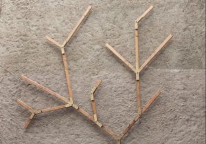 Aménagement support mur vigne vierge