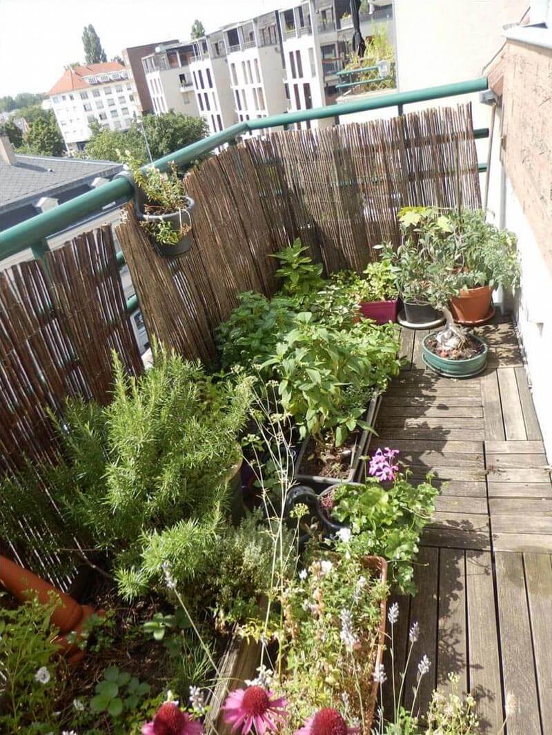 Aménagement de petit balcon, situation initiale
