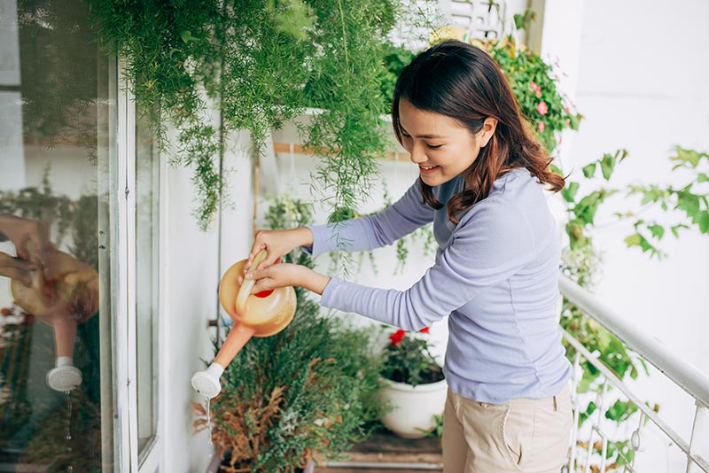 Un jardin vertical sur son balcon