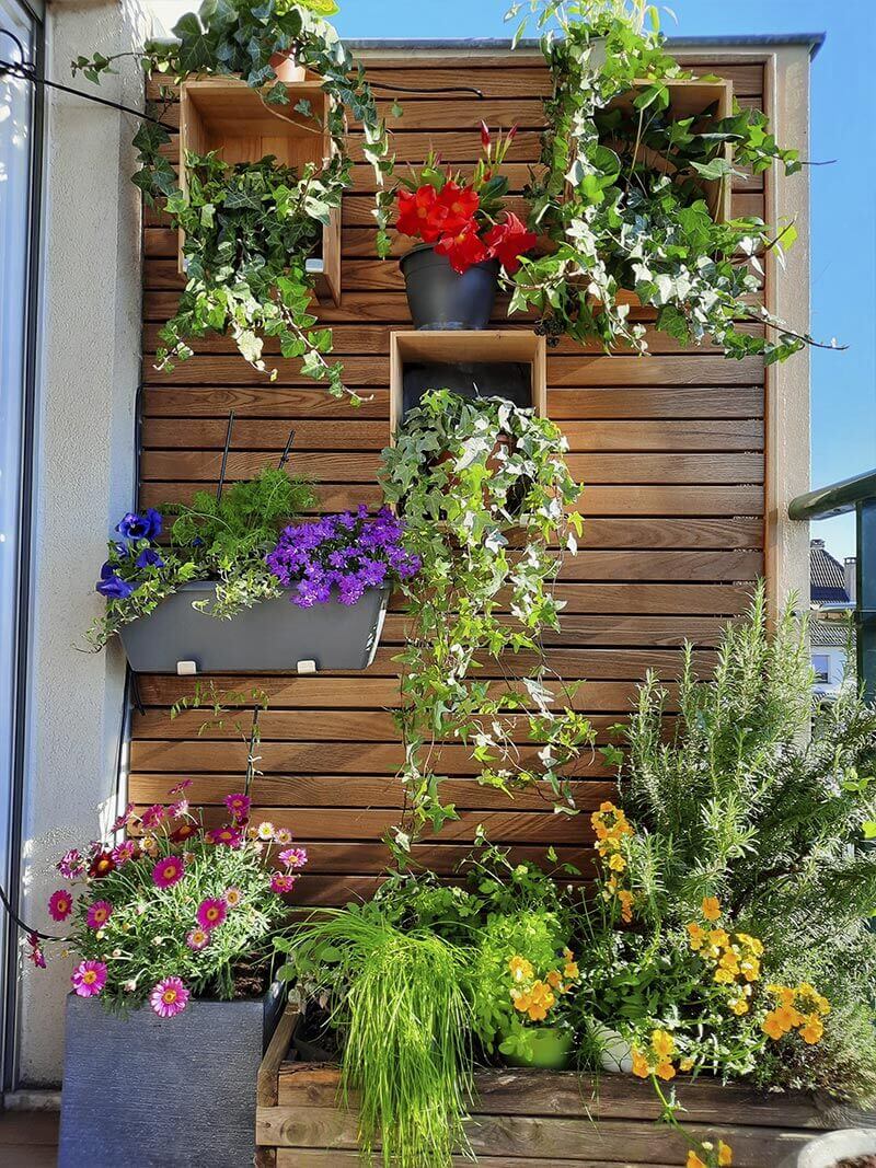 Aménagement d'un mur de balcon plantes verticales