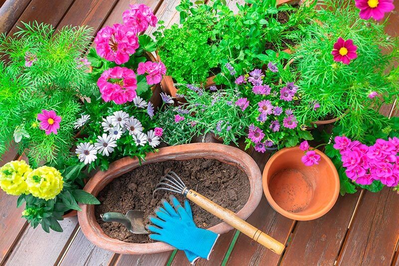 Préparer son balcon au printemps