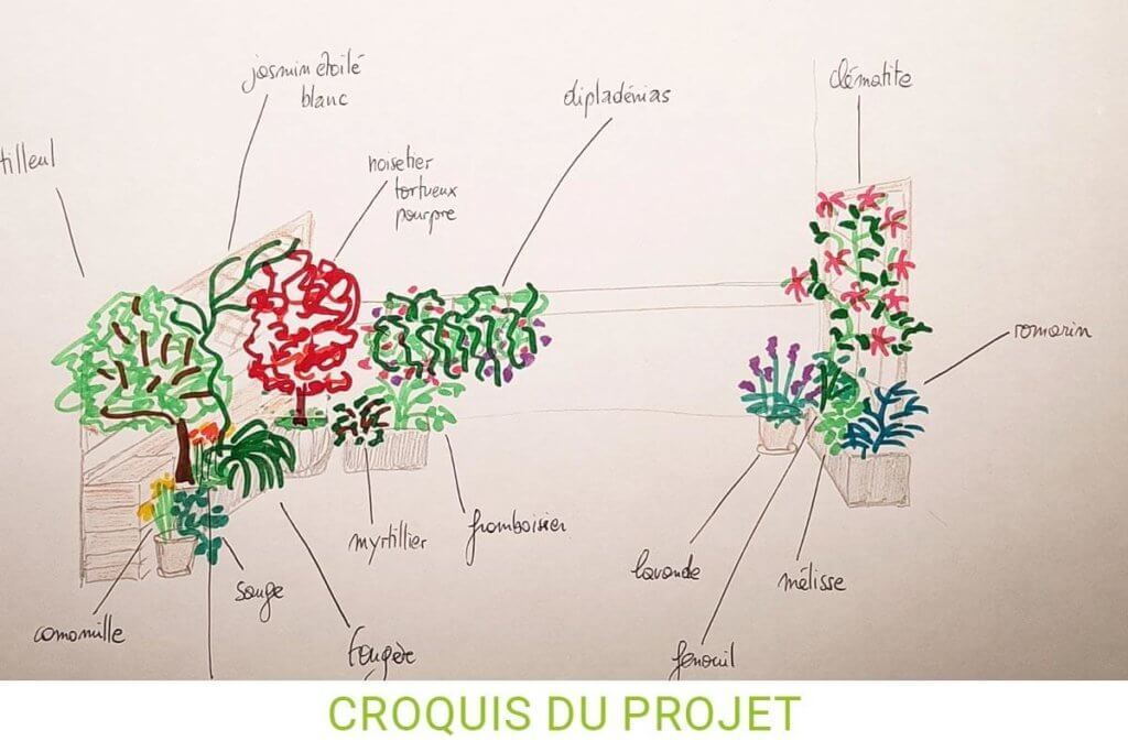 Aménagement d'un balcon à Strasbourg - croquis