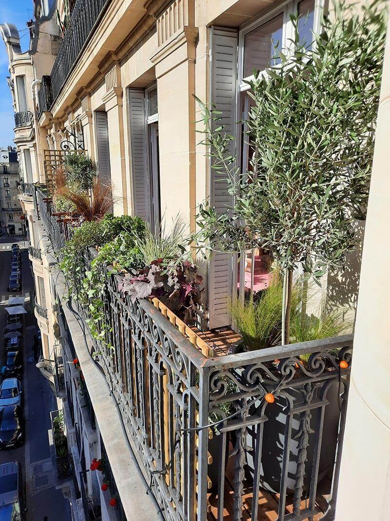 Aménagement et végétalisation de deux balcons haussmanniens à Paris 17e