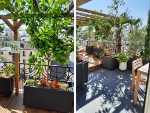 Aménagement extérieur d'un salon végétal sur une terrasse en longueur à Levallois-Perret près de Paris