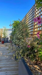 Aménagement extérieur d'un rooftop de maison à l'ouest de Paris